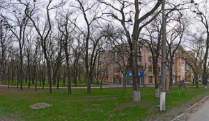Фотография Ателье Леди 0