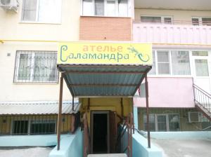 Фотография Саламандра 0